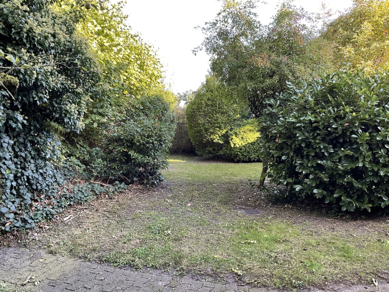 Garten Garten