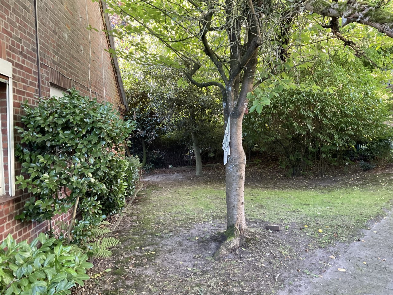 Garten Garten